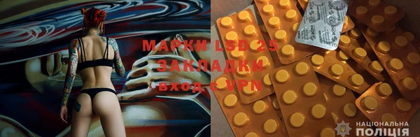 mdpv Дмитров