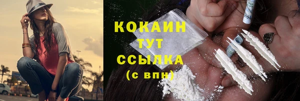 spice Дмитриев