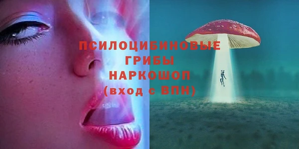 spice Дмитриев
