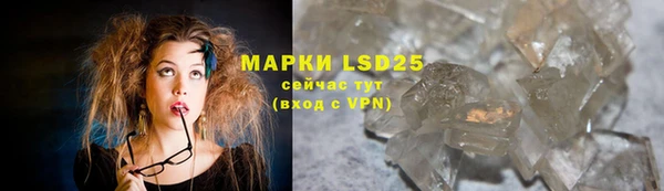 шишки Михайловск