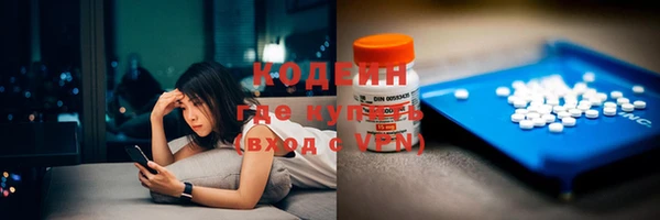 индика Гусев