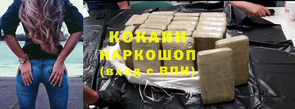 spice Дмитриев