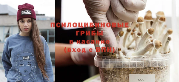 spice Дмитриев